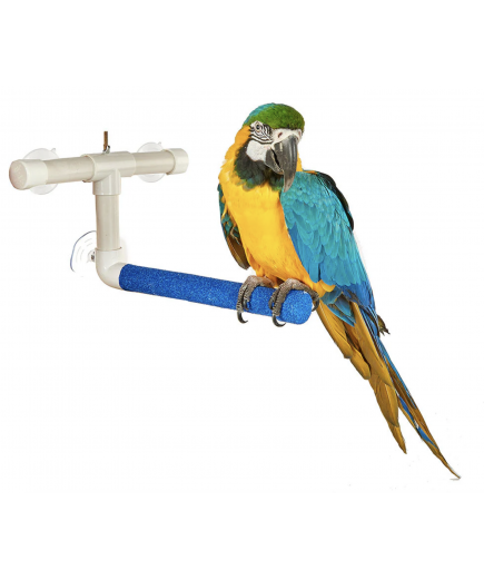 Parrot-Supplies Sanded Nail Trimming Shower Perch for Parrots Large