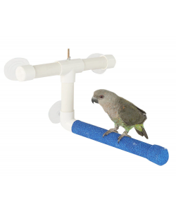 Parrot-Supplies Sanded Nail Trimming Shower Perch for Parrots Medium