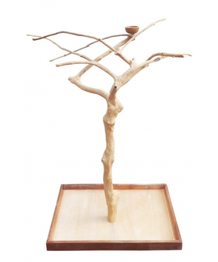 The Java Midi Tree Natural Hardwood Parrot Playstand