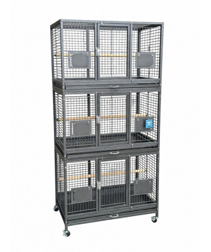 Parrot Supplies Triple Breeding / Display Parrot Cage - Antique 