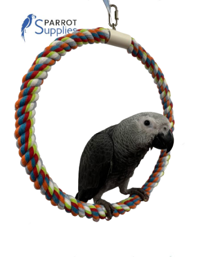 Parrot-Supplies Colourful Rope Ring Parrot Swing Toy