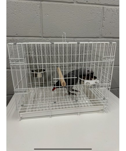 Parrot-Supplies Medium Folding Parrot Travel Cage - White