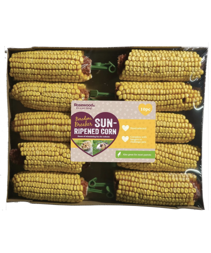 Rosewood Parrot Treat Boredom Breaker Sun Ripened Corn 10 Pack