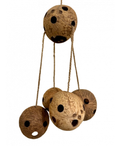 Parrot-Supplies Big Coco Balls Coconut Foraging XL Parrot Toy