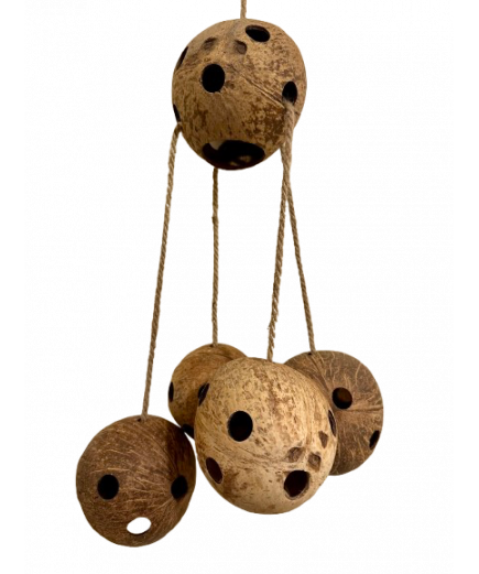 Parrot-Supplies Big Coco Balls Coconut Foraging XL Parrot Toy