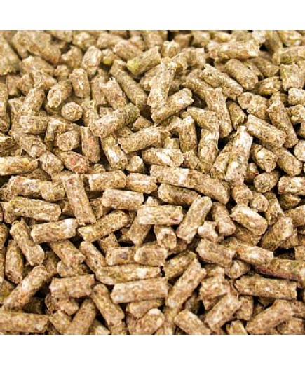 TOP`s Organic Parrot Food - Small Pellets 4lb