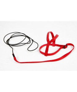 Avian Adventure Parrot Harness Small - Amazons, Timneh Greys, Conure - Red