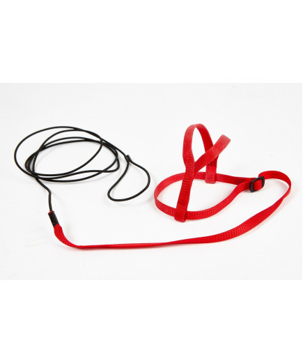 Avian Adventure Parrot Harness Small - Amazons, Timneh Greys, Conure - Red